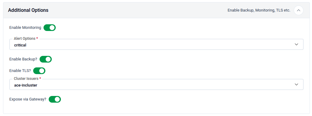 Additional Options panel showing Monitoring, Backup, TLS, and Gateway toggles